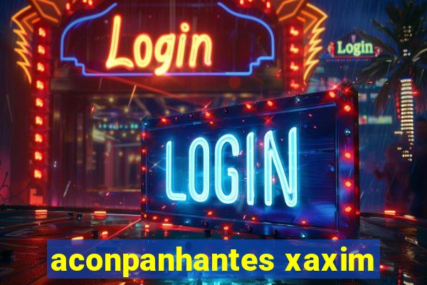 aconpanhantes xaxim